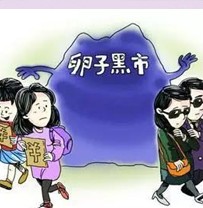 调查：生育一个孩子使得女方就业几率下降约6.6%，生育二胎其就业几率再次下降9.3%