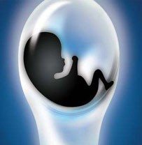 鲜胚、囊胚、冻胚移植哪个成功率最高？