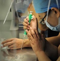 试管婴儿妈妈孕早期安胎要避开这些误区