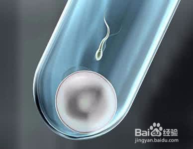鲜胚和冻胚究竟哪个更好？