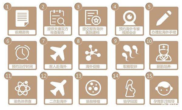 海外试管婴儿流程