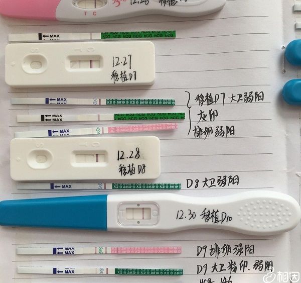 移植后验孕