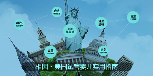 美国试管婴儿多少钱