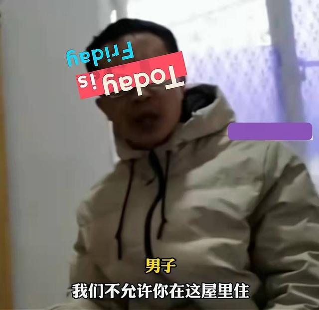 试管代孕
